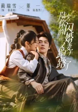 陆少,你的闪婚妻子又跑路了海报