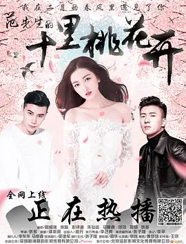 范先生的十里桃花开海报