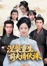 涅槃重生,前夫请伏诛海报