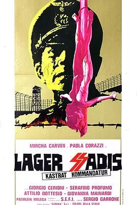 纳粹军妓血泪史海报