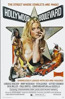 好莱坞大道海报