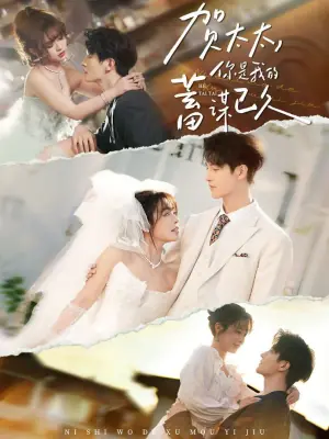 贺太太,你是我的蓄谋已久海报