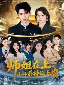 师姐在上:小师弟持证上岗海报