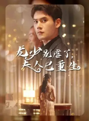 龙少别虐了,夫人已重生海报