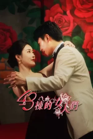 43栋的女人们海报