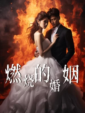 燃烧的婚姻海报