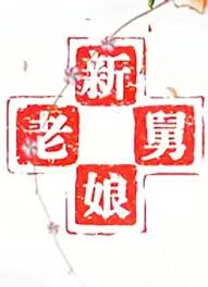 新老娘舅2018海报