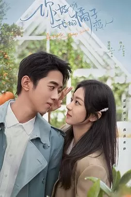 你好呀,我的橘子恋人海报