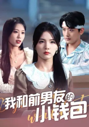 我和前男友的小钱包海报