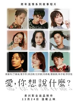 爱,你想说什么海报