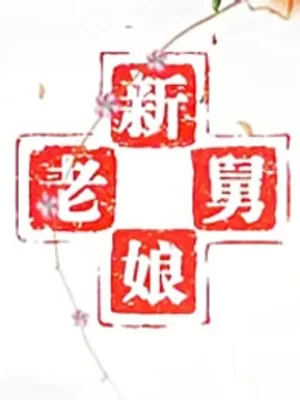 新老娘舅2020海报