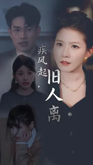 疾风起旧人离海报