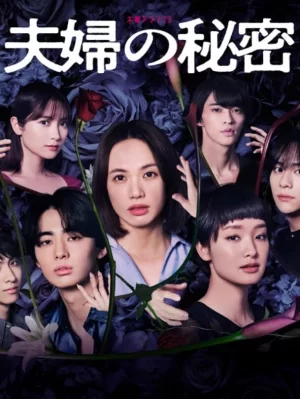 夫妇的秘密海报