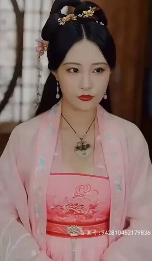 穿越之大小姐的极品家丁海报