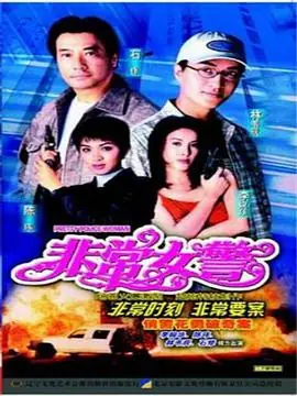 非常女警(国语)海报