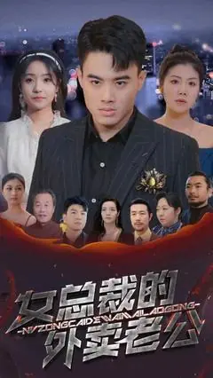 女总裁的外卖老公海报