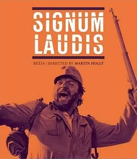 勋章[电影解说]海报