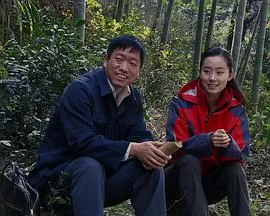 大饼的莎士比亚海报