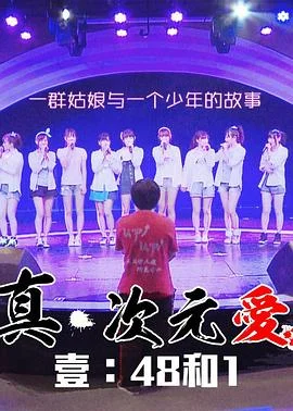 真·次元爱海报