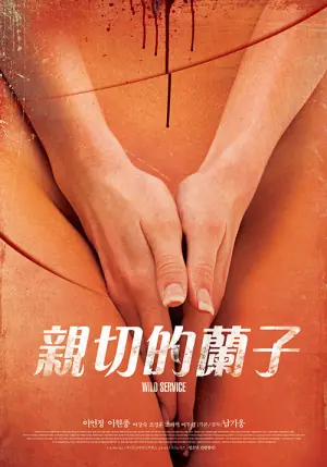 亲切的兰子海报