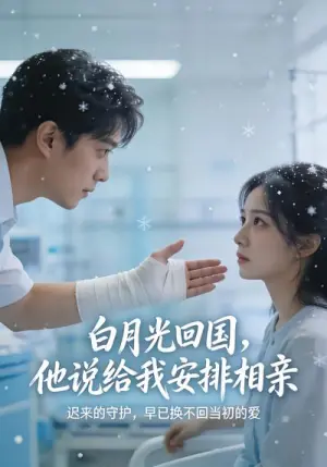 白月光回国,他说给我安排相亲海报