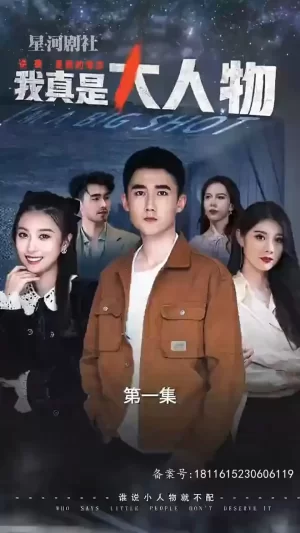 我真是大人物海报
