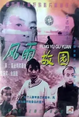 风雨故园海报