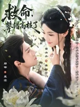 救命,攀错高枝了海报