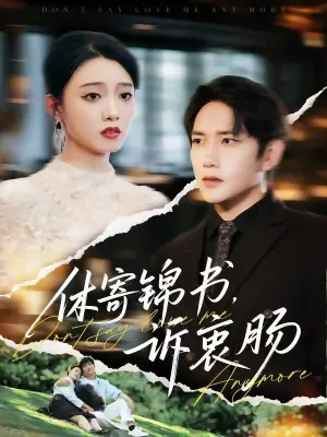 休寄锦书诉衷肠海报