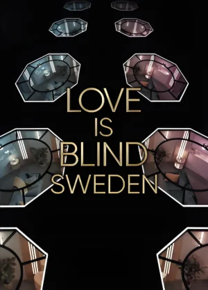 爱情盲选:瑞典篇第二季海报