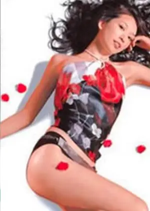 春梦不了情海报