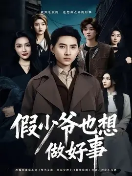 假少爷也想做好事海报