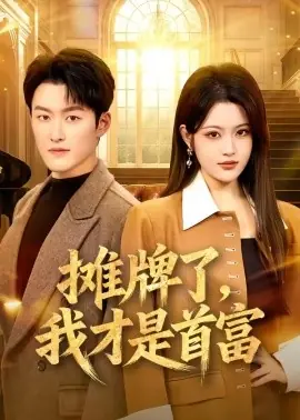 摊牌了,我才是首富海报