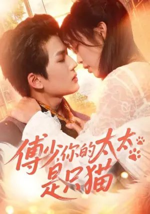 傅少,你的太太是只猫海报