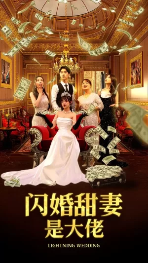 闪婚甜妻是大佬海报