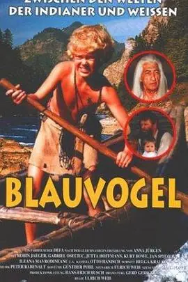 蓝鸟Blauvogel海报