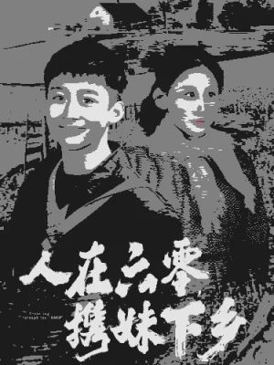 人在六零携妹下乡海报