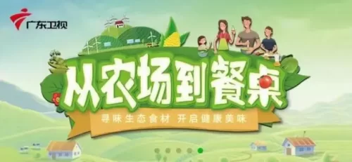 从农场到餐桌2020海报