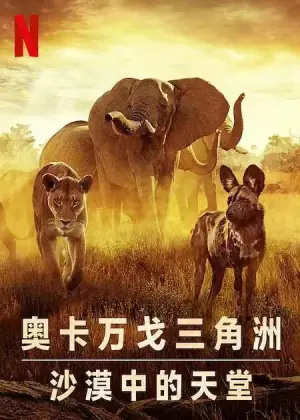 幸存的天堂海报