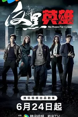 反黑英雄(国语)海报