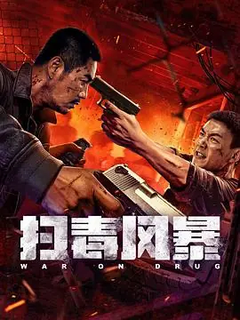 扫毒风暴海报