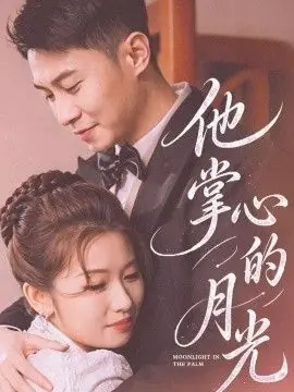 他掌心的月光海报