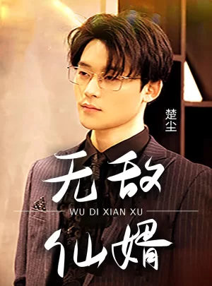 无敌仙婿海报