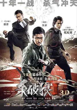 杀破狼2(国语)海报