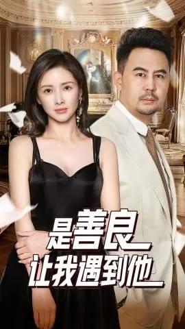 是善良让我遇到他海报