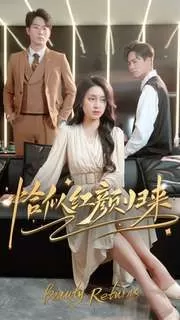 恰似红颜归来海报