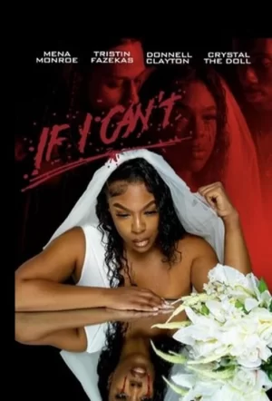 如果我不能海报