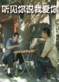 听见你说我爱你海报