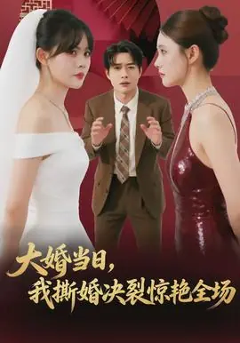 大婚当日,我撕婚决裂惊艳全场海报