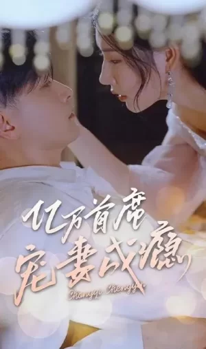 亿万首席宠妻成瘾海报